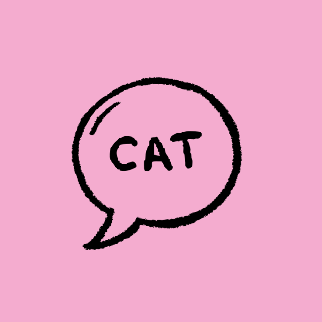 Anual Literatura Catalana